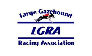 Large Gazehound Racing Association