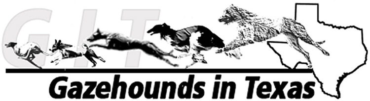 Gazehounds in Texas